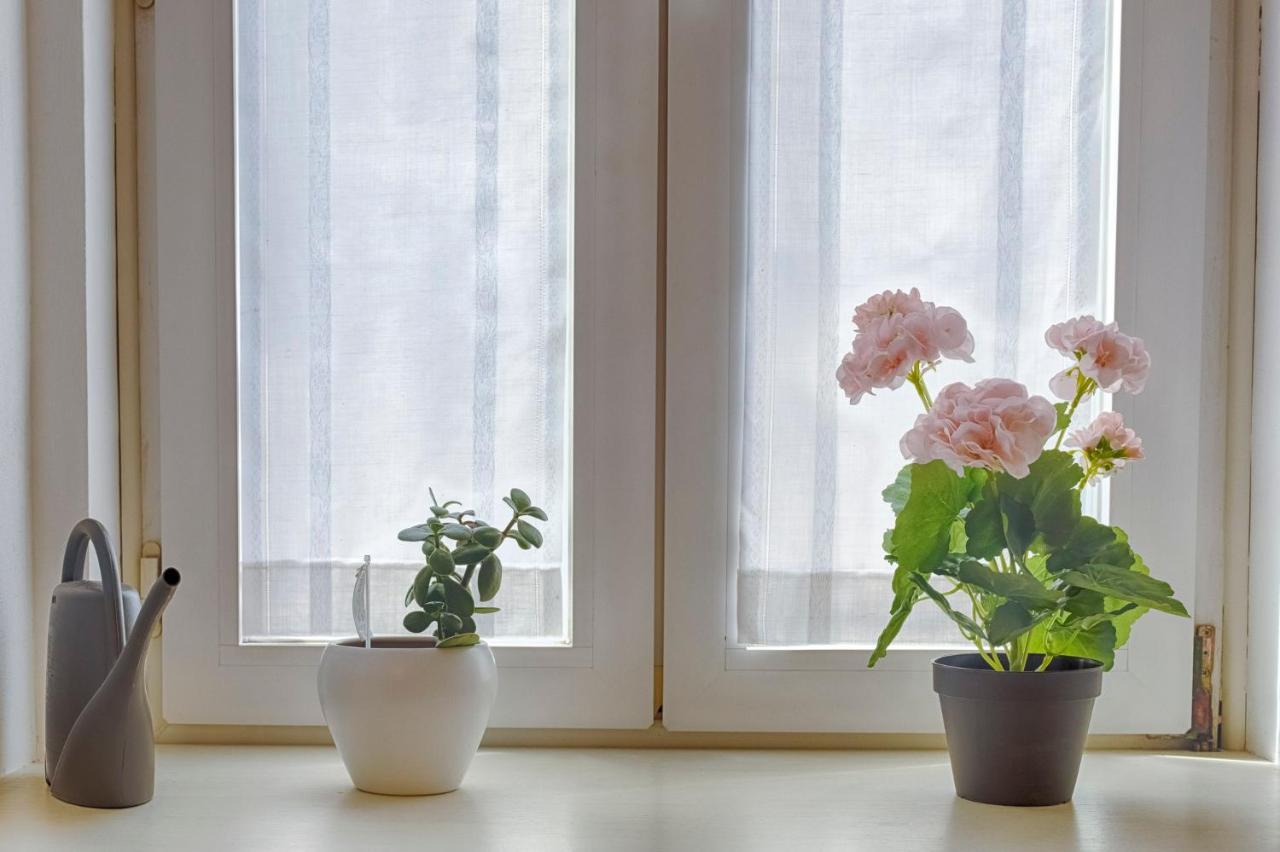 Mihaela Apartment - Charme Near The Station Трієст Екстер'єр фото